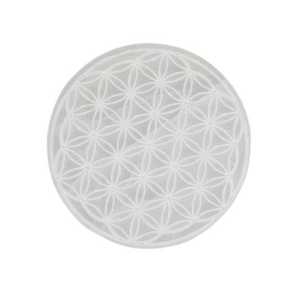 Round white charging disc with a floral pattern on a white background
