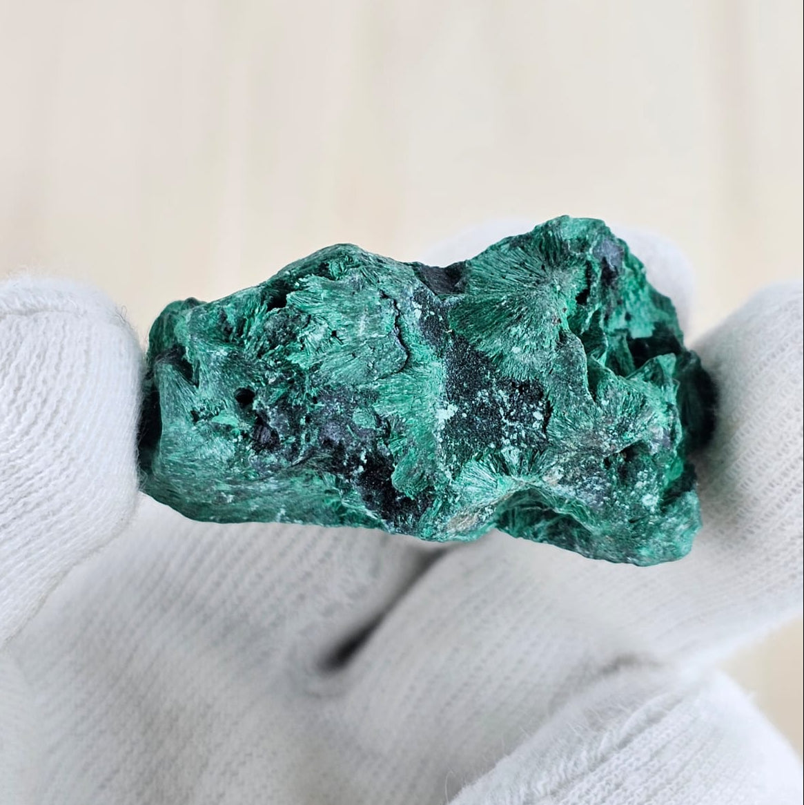 Malachite held in a white glove against a neutral background
