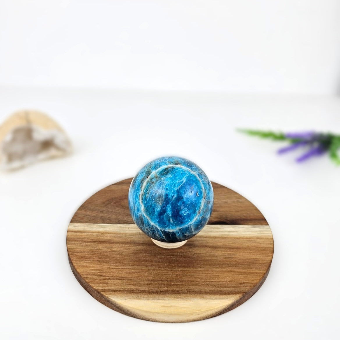 Blue apatite on a wooden stand with a white background