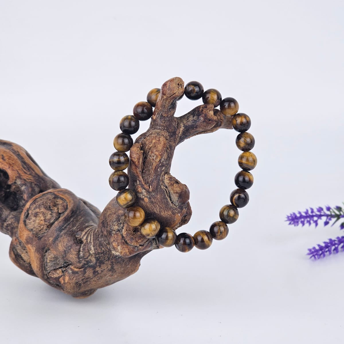 Bracelet with tiger eye beads on a branch with a white background