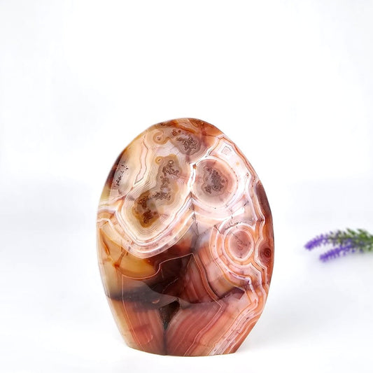 Polished agate stone with concentric patterns on a white background