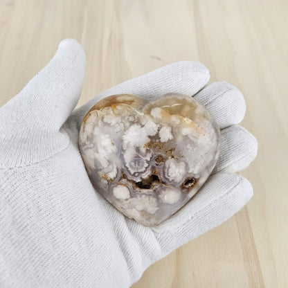 Flower agate in gloved  hand