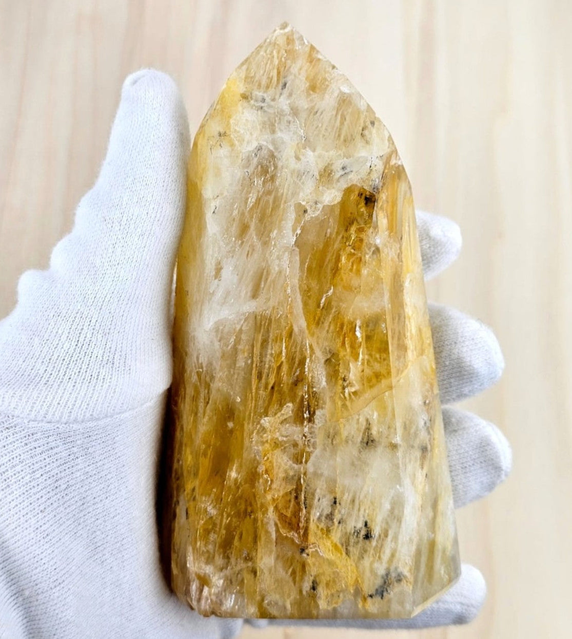 golden healer by a gloved hand on a light wooden background