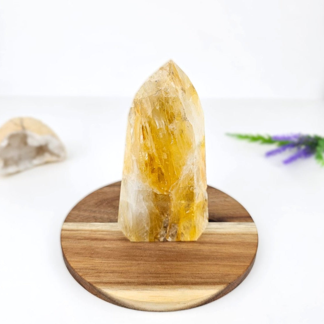 Golden Healer on a wooden stand with a white background