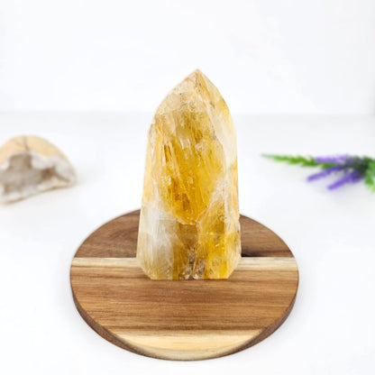 Golden Healer on a wooden stand with a white background