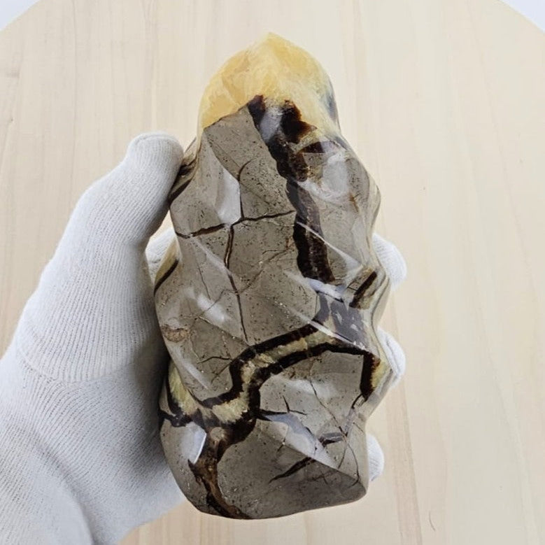 septarian i gloved hand and a wooden background