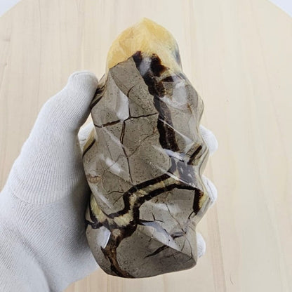 septarian i gloved hand and a wooden background
