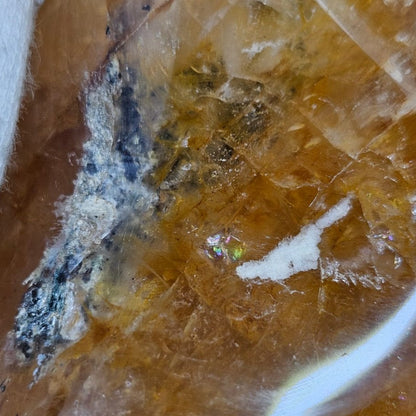 Close-up of a textured golden healer rainbow flash surface with white and black patches