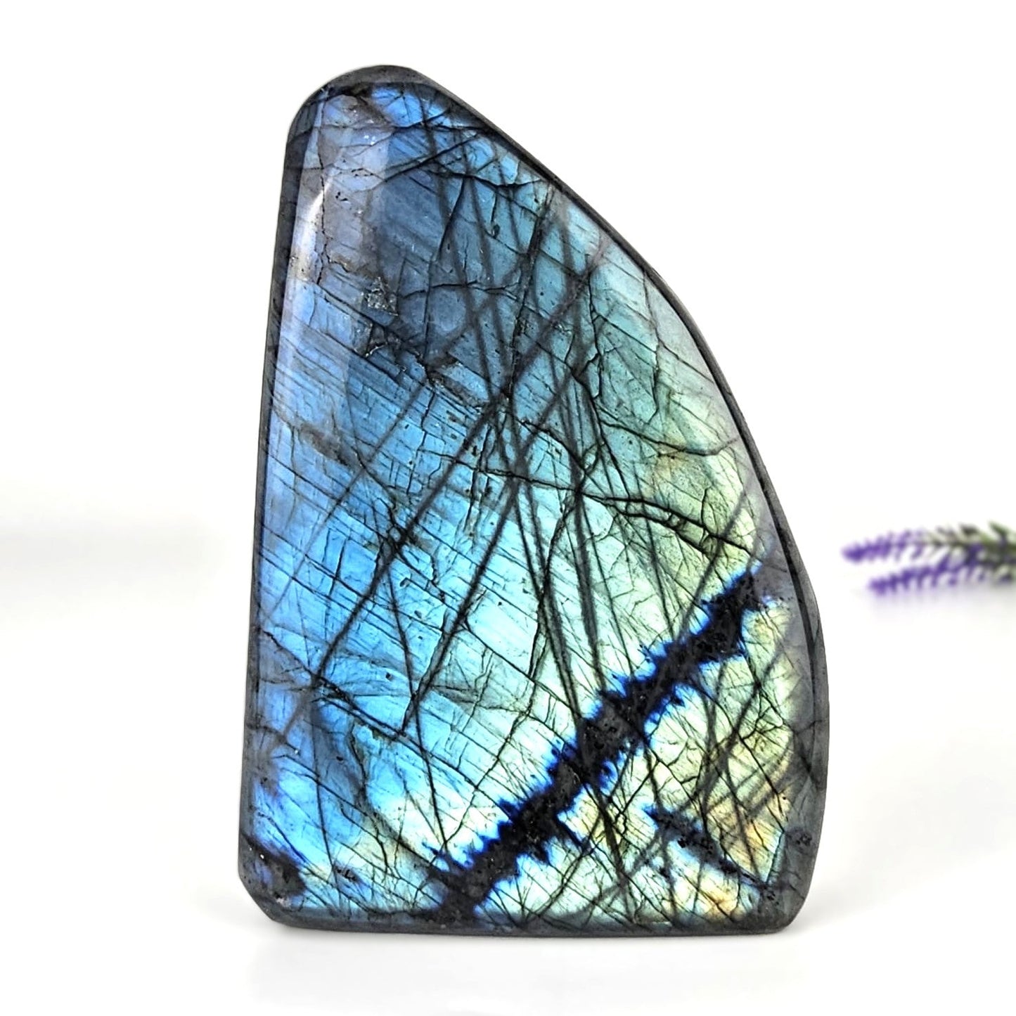 labradorite freeform on a white background