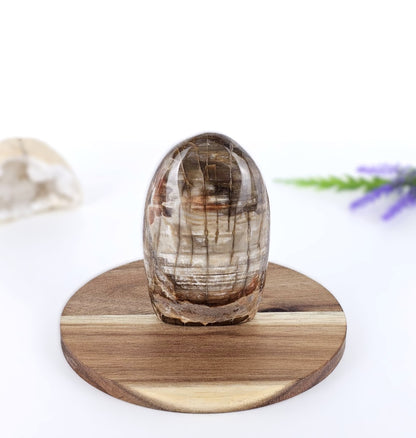 petrified wood on wooden stand