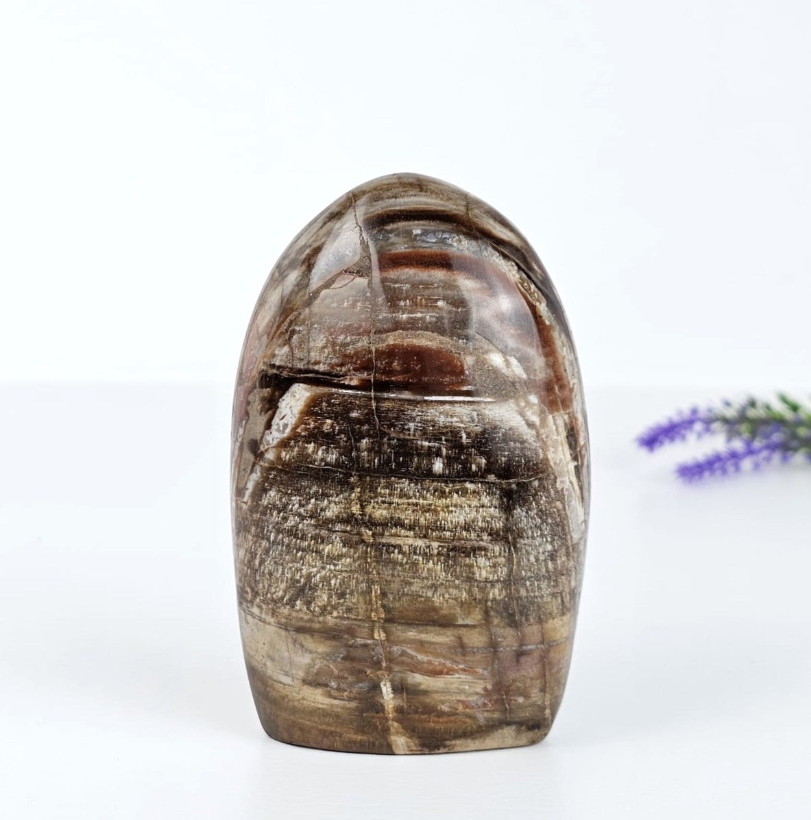 Decorative petrified wood sculpture on a white background