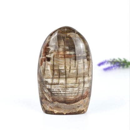 Petrified wood front