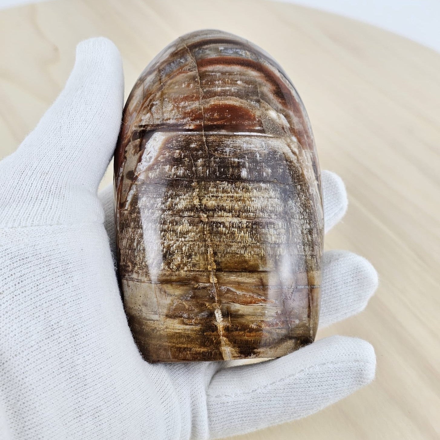 Petrified wood back in hand