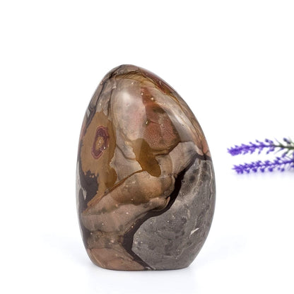 Polished polychrome jasper with brown and gray patterns on a white background