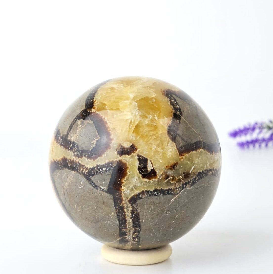 septarian sphere with a unique pattern on a white background