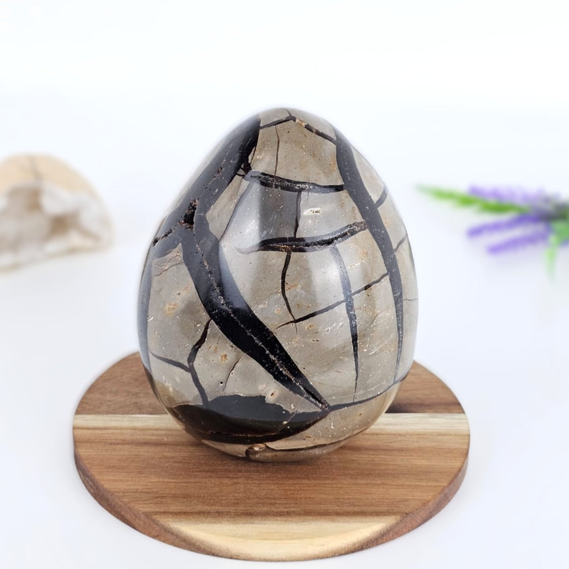 Decorative septarian egg on a wooden stand