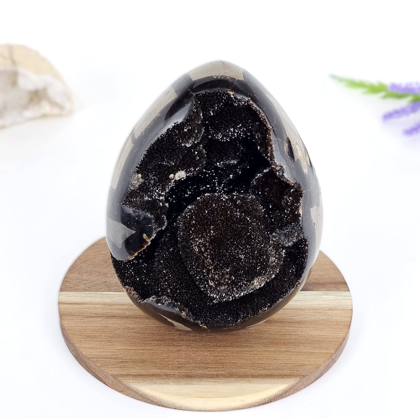 septarian egg on wood