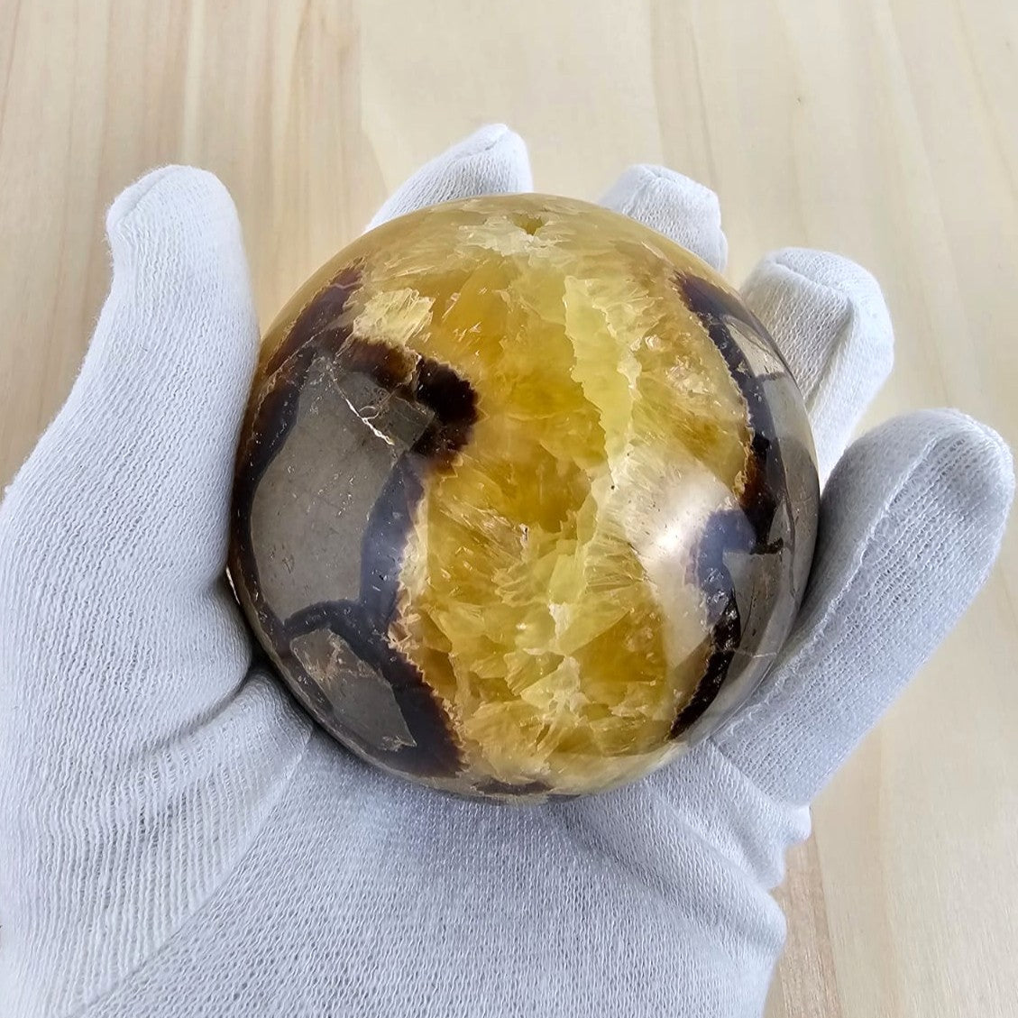 big septarian sphere held in a gloved hand on a light background