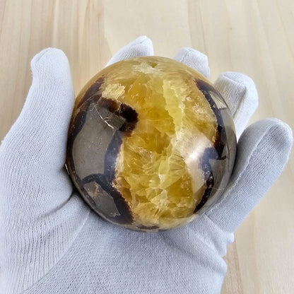 big septarian sphere held in a gloved hand on a light background