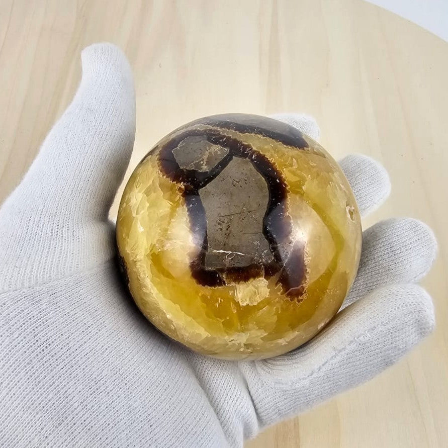 Gloved hand holding aseptarian sphere with a brown and yellow pattern on a light wooden surface.