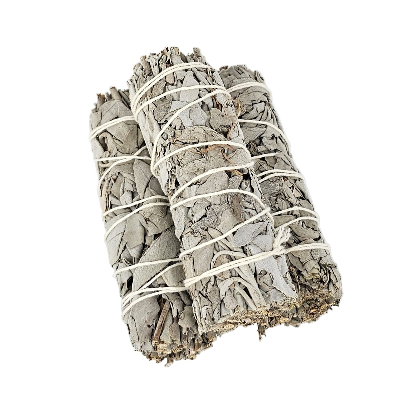 californian-white-sage-small