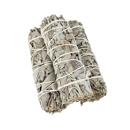 californian-white-sage-small