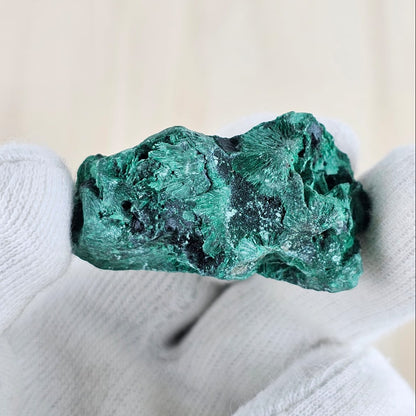 Malachite held in a white glove against a neutral background