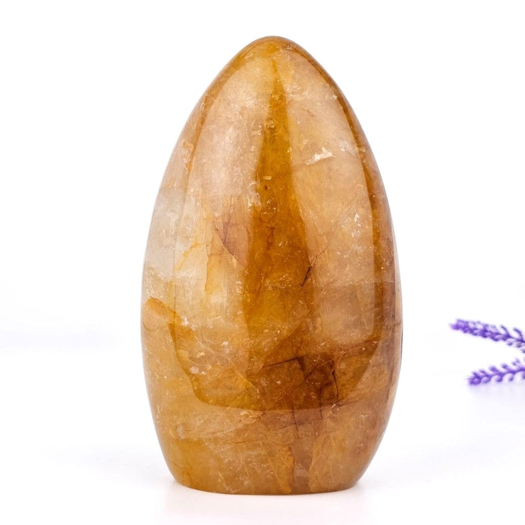 Golden healer freeform form madagascar on a white background