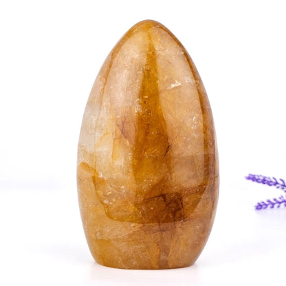 Golden healer freeform form madagascar on a white background