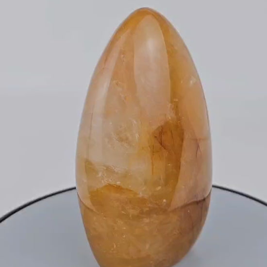 Golden healer freeform video