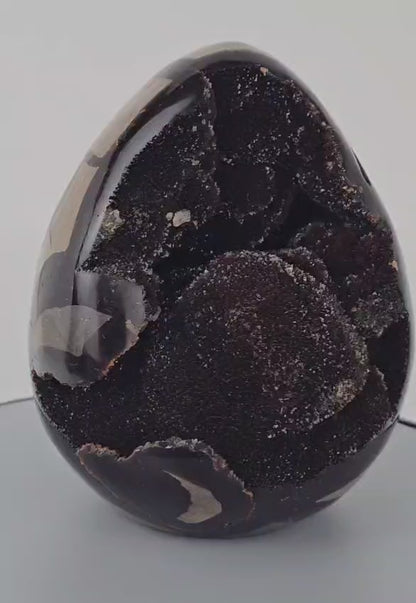 septarian-egg-video