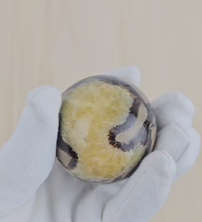 Small septarian sphere video
