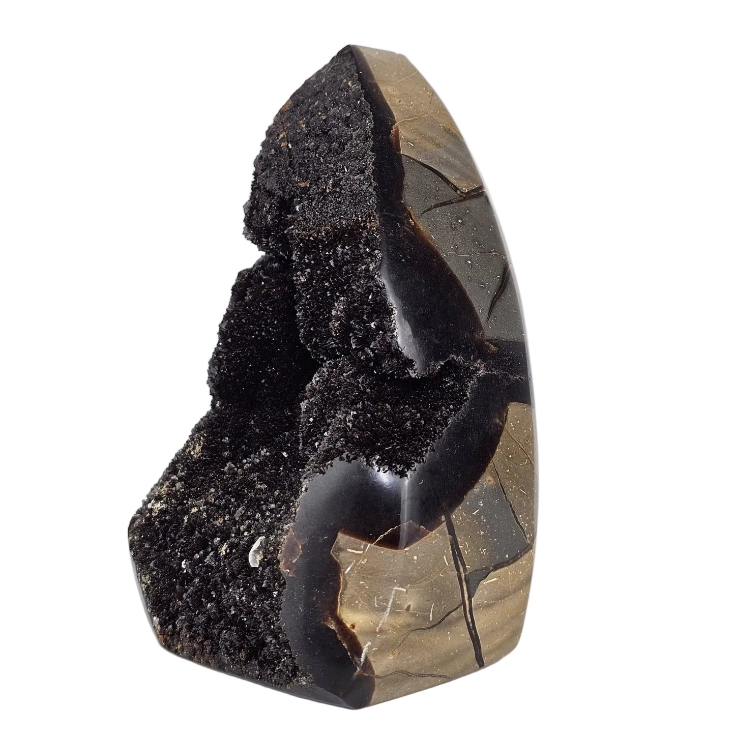 Septarian sculpture with aragonite crystals on a white background