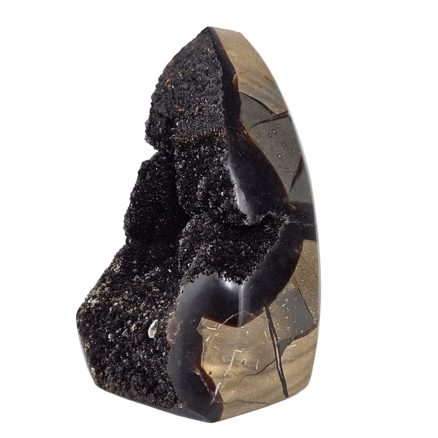 Septarian sculpture with aragonite crystals on a white background