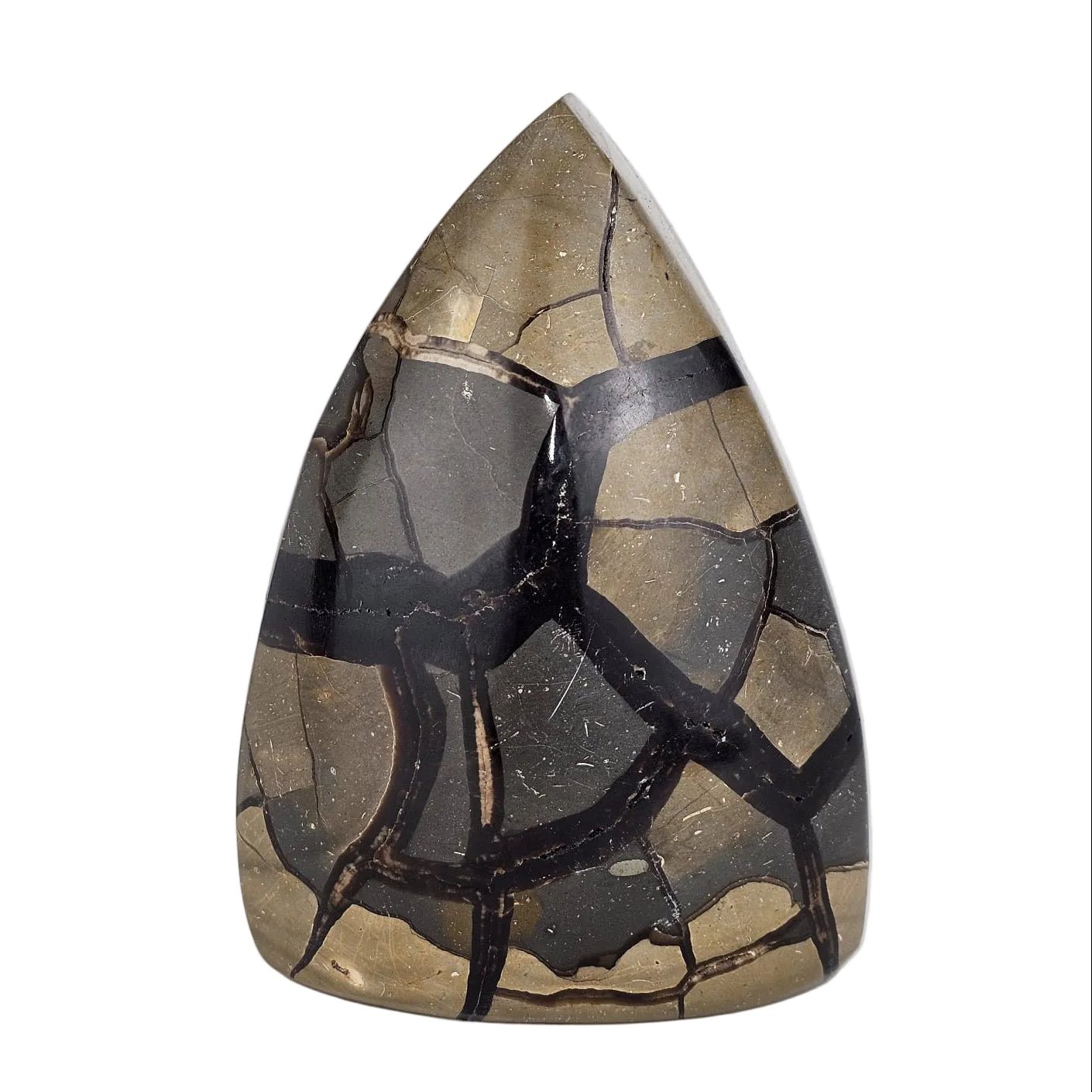 Septarian sculpture back view with aragonite crystals on a white  background