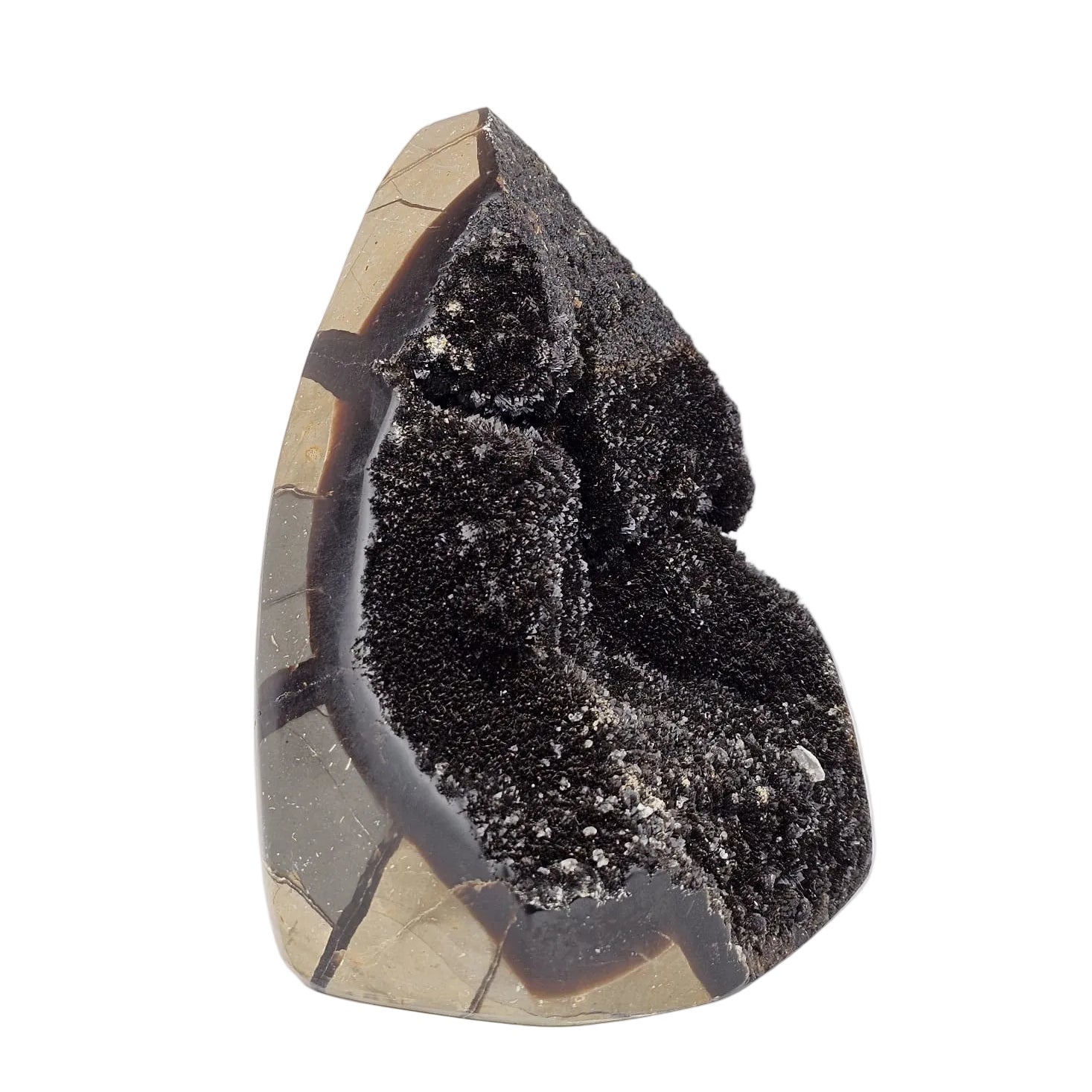 Septarian sculpture with aragonite crystals on a white background