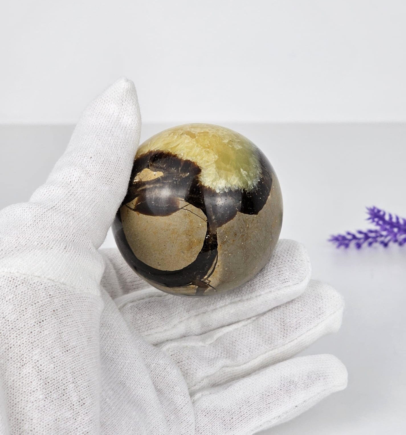 septarian-sphere-hand