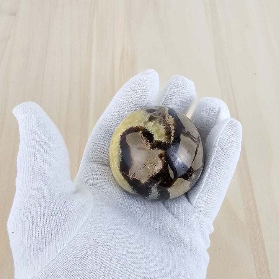 septarian sphere holding in a white glove on a light wooden surface