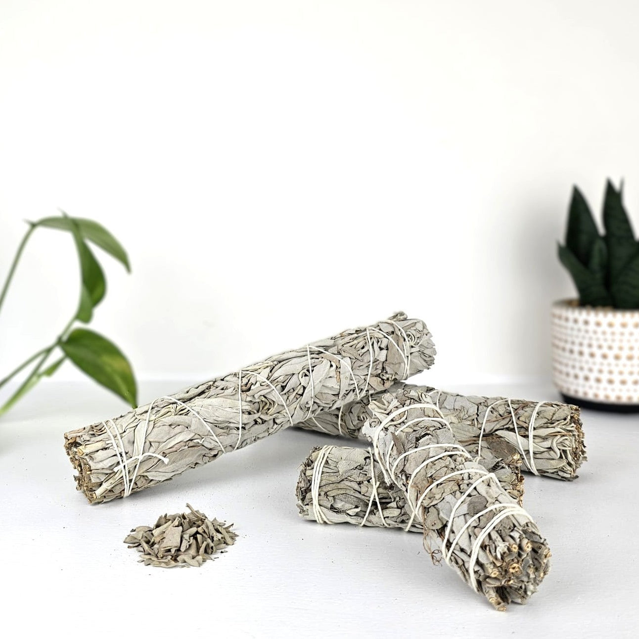 Sage smudge sticks on a white surface with a plant in the background