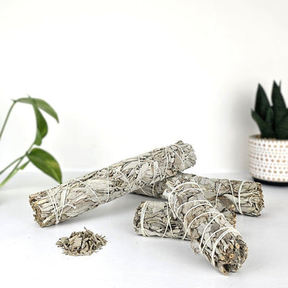 Sage smudge sticks on a white surface with a plant in the background